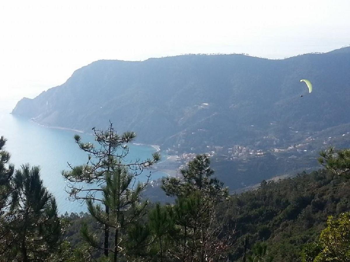I Lecci Di Soviore Monterosso al Mare Buitenkant foto